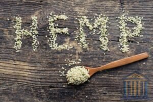 Leia mais sobre o artigo Hemp no Brasil: STJ libera cultivo e cria novo marco legal no IAC 16